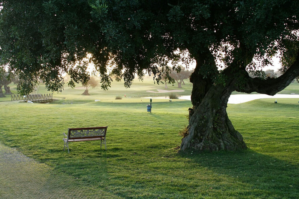 Quinta da Cima