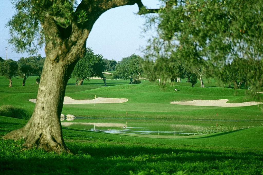 Quinta da Cima